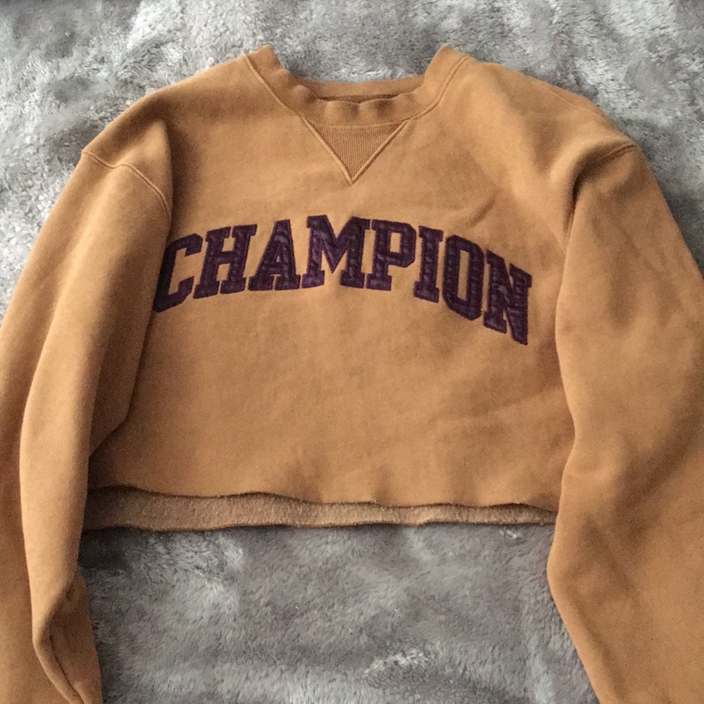 Champion Brown hoodie